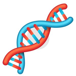 Double-stranded DNA structure highlighting the genetic cause of male pattern baldness (androgenetic alopecia)