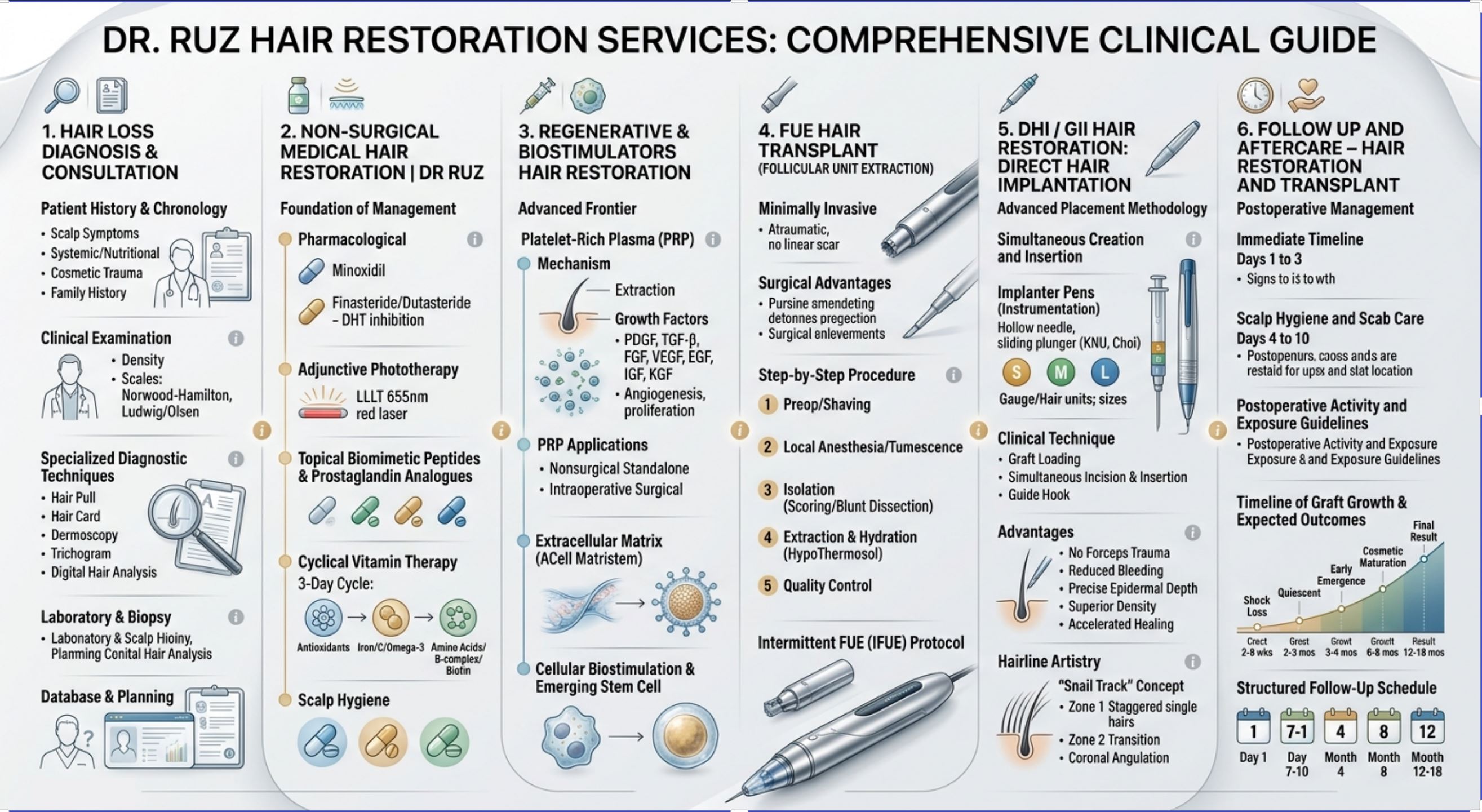 A six-column infographic detailing the Dr. Ruz Hair Restoration clinical process, covering diagnosis, non-surgical treatments, regenerative therapies, FUE transplantation, DHI placement methodology, and postoperative aftercare.